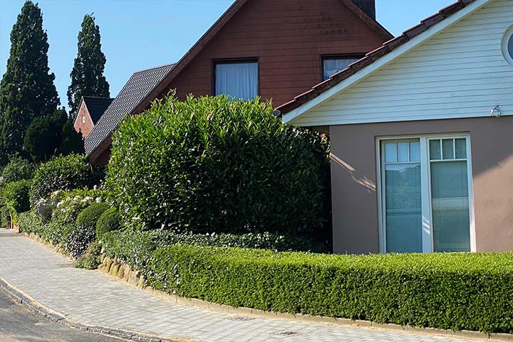 Haus mit gepflegten Bäumen
